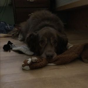 Meet your Posher, Joanne